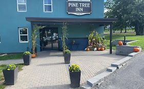 Pine Tree Inn